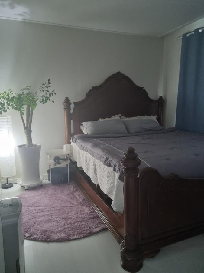 Gashi Sarang Bed and Breakfast Seogwipo Exterior foto